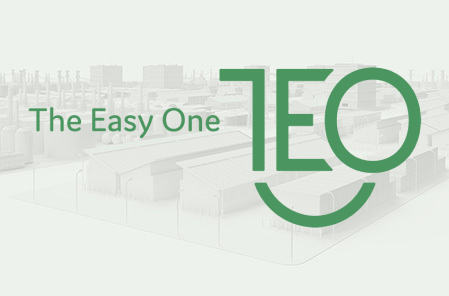 The Easy One Logo